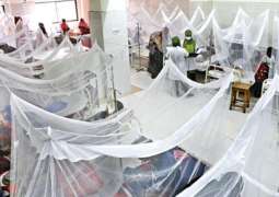 25 new dengue cases reported in Islamabad within 24 hours