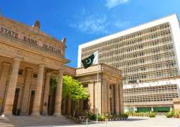 Pakistan to raise $750m via Panda Bonds, Global Bank Financing