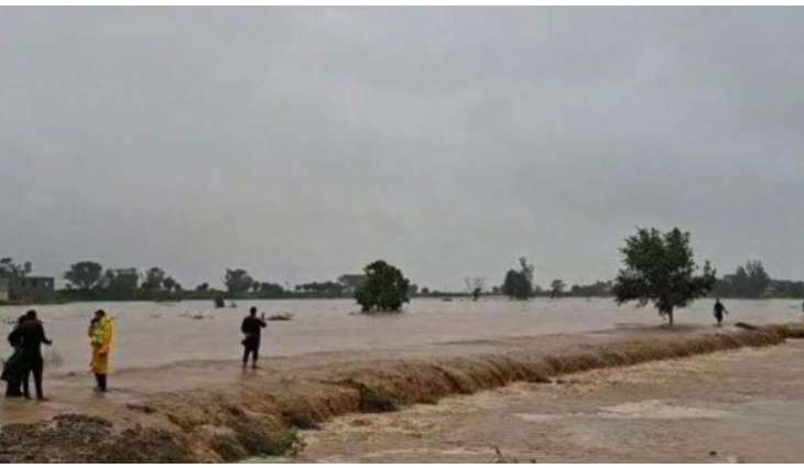 Multan at risk as South Punjab faces critical flood situation, warns DG PDMA