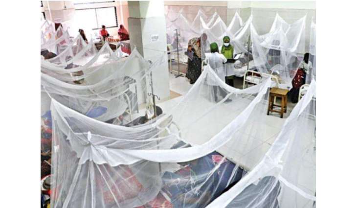 25 new dengue cases reported in Islamabad within 24 hours

 