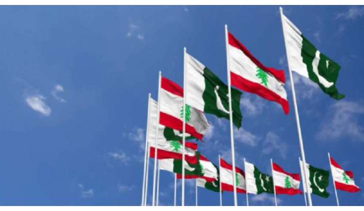 سفیر باکستان لدی لبنان یجتمع مع وزیر الأشغال و العامة و النقل فایز رسامني