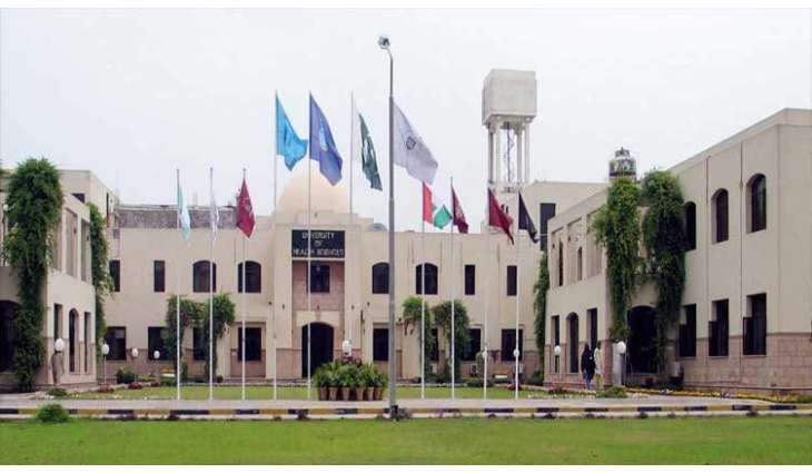 UHS launches structured house job for DPT graduates