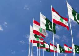 سفیر باکستان لدی لبنان یجتمع مع وزیر الأشغال و العامة و النقل فایز رسامني