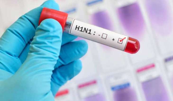 Korea reports 1st highly pathogenic bird flu case for this year