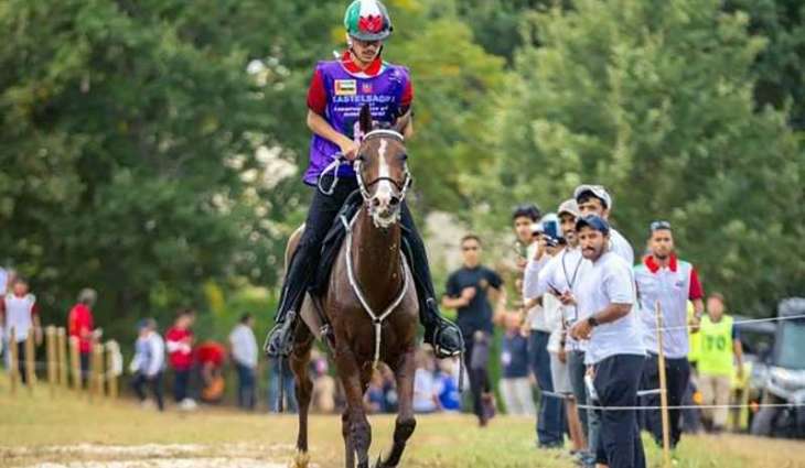 UAE Equestrian Federation: Endurance World Championship in Romania to build on global success