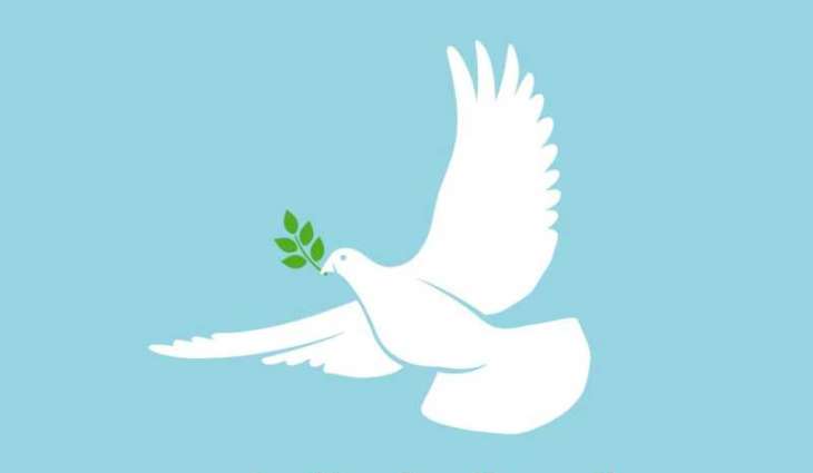 Muslim Council of Elders calls for unified international efforts to end wars, protect civilians