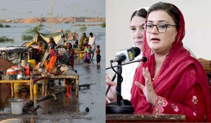 Punjab rejects BISP for flood relief, announces own package