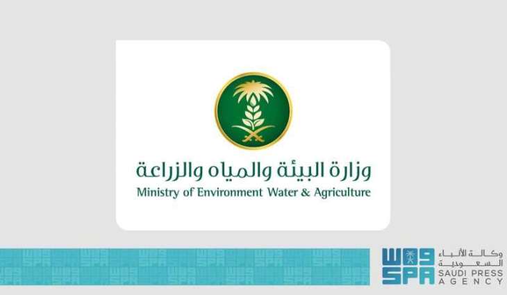 Environment Ministry Offers Investment Opportunities for Cultivation of Seedlings, Fruit Trees in Makkah