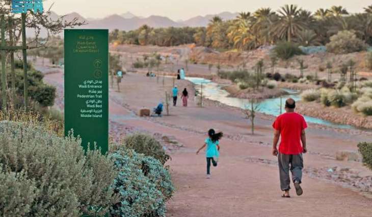 Madinah Municipality Rehabilitates Historic Wadi Qanat