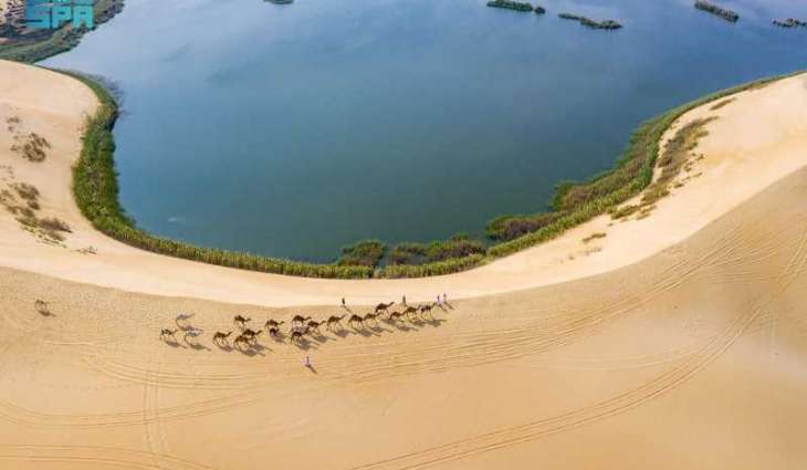 Saudi Arabia Spotlights Red Sea Assets on World Tourism Day