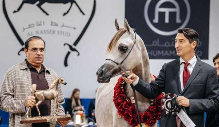 ذهبية وبرونزية لمربط دبي في بطولة كأس كل الأمم بألمانيا
