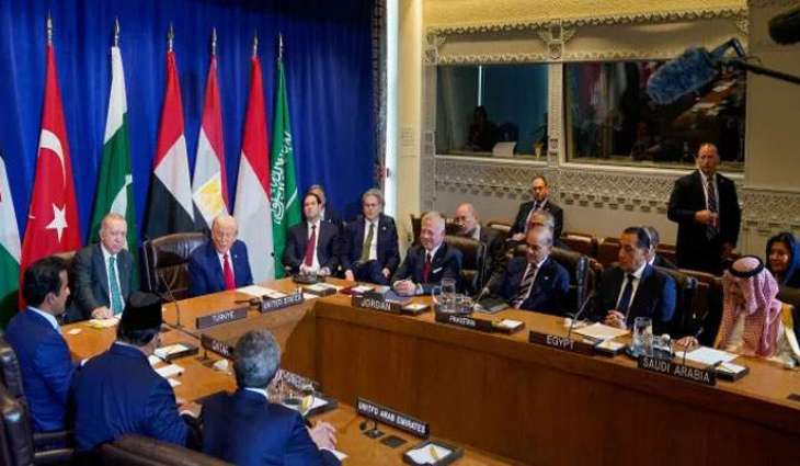 Muslim nations endorse Trump’s Gaza ceasefire plan