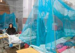Over 215,000 malaria cases reported across Sindh