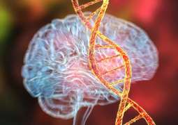 Researchers discover nutrient linked to depression