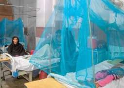 19 new dengue cases reported in Rawalpindi