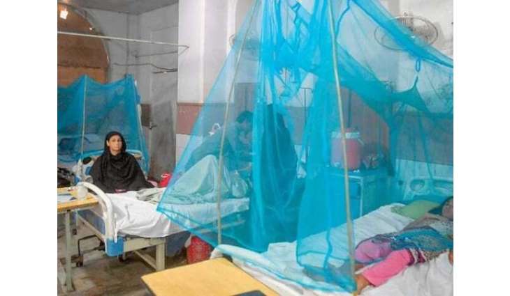 Over 215,000 malaria cases reported across Sindh