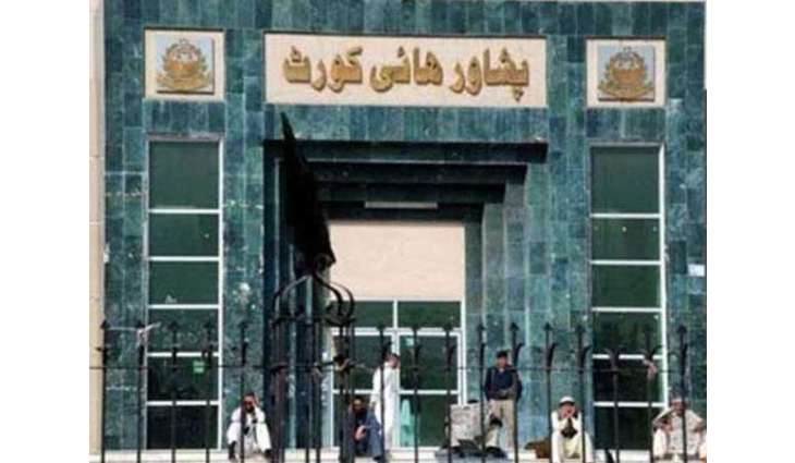 PHC questions cremation ground approval amid no cabinet