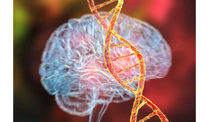Researchers discover nutrient linked to depression