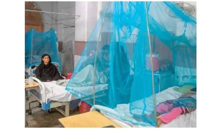 19 new dengue cases reported in Rawalpindi