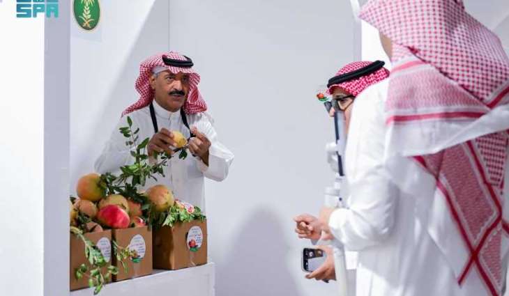 متاجر رمان الباحة الإلكترونية والنقل البري تشهد إقبالًا من جميع المناطق
