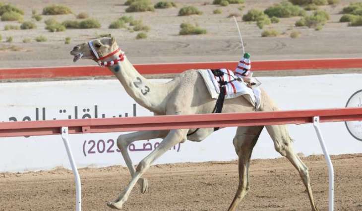 تألق 