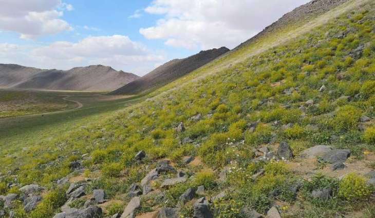 هيئة تطوير محمية الملك سلمان بن عبدالعزيز الملكية تفعّل اليوم العربي للبيئة