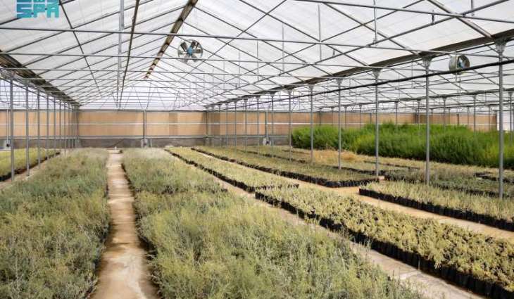 National Vegetation Center in Al-Jouf Boosts Green Areas to Support Saudi Environmental Sustainability