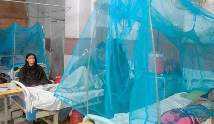 Over 215,000 malaria cases reported across Sindh