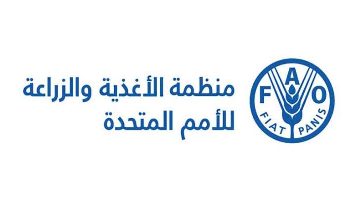 FAO marks 80th anniversary during participation in Abu Dhabi Global Food Week