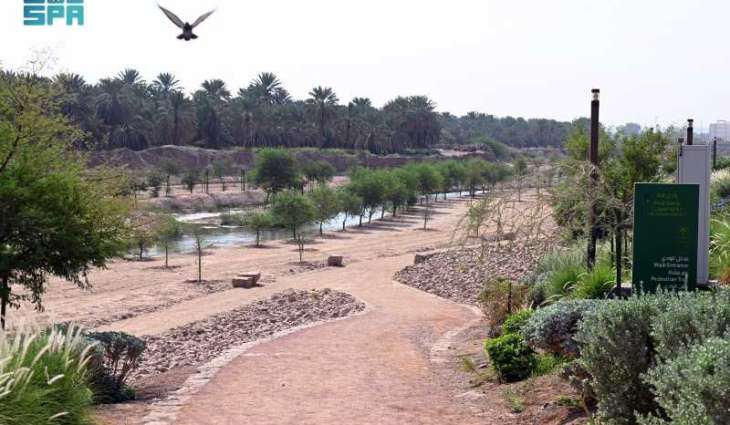 وادي قناة معلمٌ تاريخي وبيئي يعزز المشهد الحضري للمدينة المنورة