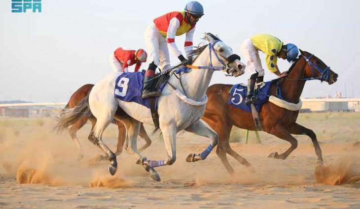 الجواد 