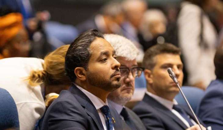 الممثل الدائم لدولة الإمارات لدى