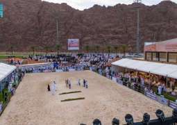 بطولة حائل الدولية لجمال الخيل العربية الأصيلة تشهد حضورًا جماهيريًا كبيرًا