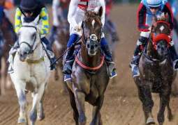 Dubai Racing Carnival receives over 300 entries from 19 countries