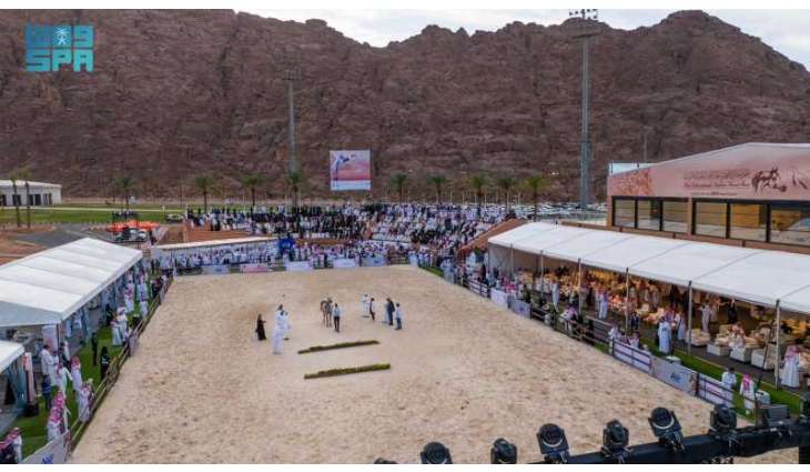بطولة حائل الدولية لجمال الخيل العربية الأصيلة تشهد حضورًا جماهيريًا كبيرًا