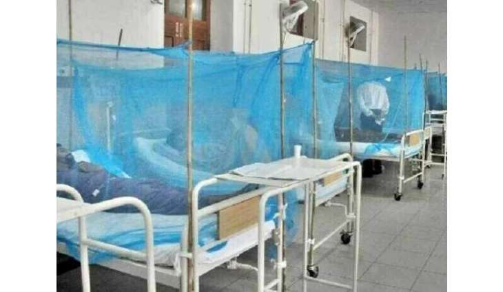 Rawalpindi reports 1 new dengue case in 24 hours