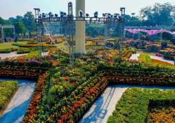 Chrysanthemum Exhibition 2025 set to open at Lahore’s Jailani Park on Dec 4