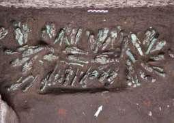 Egypologists find 225 'exceptional' figurines in pharaoh's tomb
