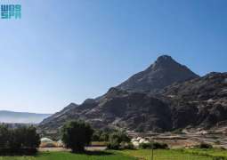 في يومها الدولي.. جبال نجران تجمع التنوع الجغرافي والثراء البيئي