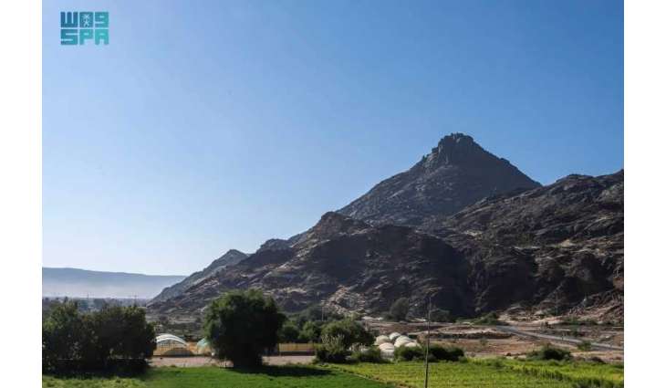 في يومها الدولي.. جبال نجران تجمع التنوع الجغرافي والثراء البيئي