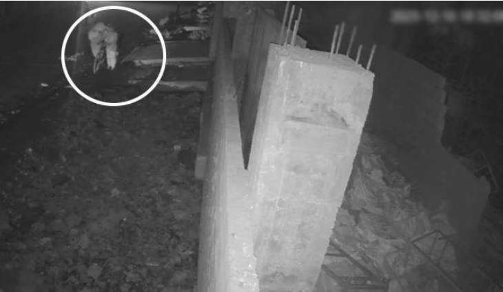 Karachi man dies after falling into open drain in Korangi Zaman Town