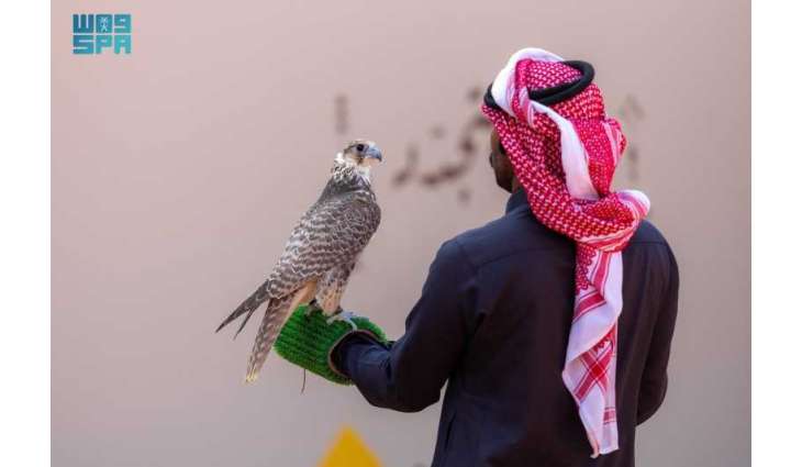120 صقارًا يدشنون أشواط نخبة المحليين في انطلاق مهرجان الملك عبدالعزيز للصقور 2025