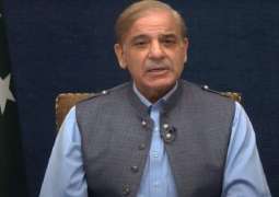 رئیس الوزراء یوٴکد عزم الحکومة علی القضاء علی الارھاب