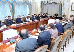PM Shehbaz calls for utilising precious gemstone reserves