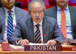Pakistan leads UN session on protecting treaty obligations