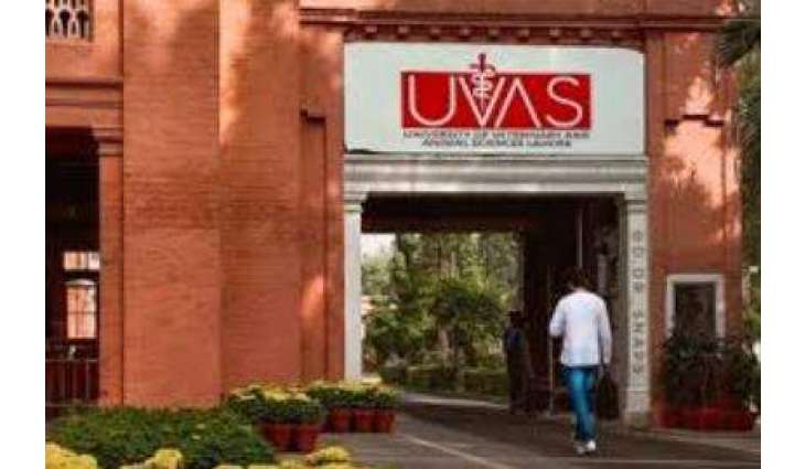 PHEC selects UVAS to lead Punjab’s One Health research cluster