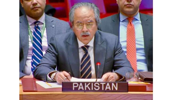 Pakistan leads UN session on protecting treaty obligations