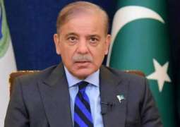 PM orders review of NEPRA’s new solar regulations