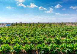 Gheras advances integrated farming in Sharjah