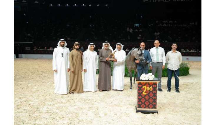 انطلاق بطولة أبوظبي الدولية لجمال الخيل العربية بمشاركة 369 خيلاً